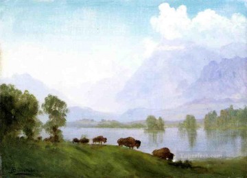 バッファロー カントリー アルバート ビアシュタットの風景 Oil Paintings